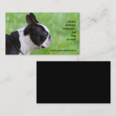 Boton Terrier visitekaartjes (Voorkant / Achterkant)