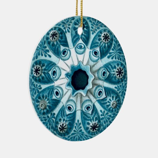 Botryllus polycyclus Ernst Haeckel Fine Art Keramisch Ornament (Rechts)