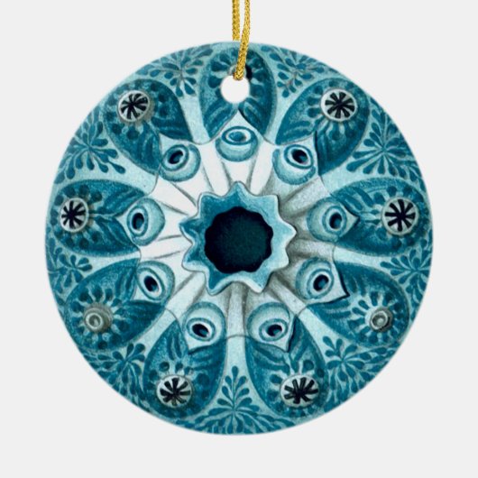 Botryllus polycyclus Ernst Haeckel Fine Art Keramisch Ornament (Voorkant)