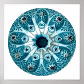Botryllus Polycyclus Ernst Haeckel Fine Art Poster (Voorkant)