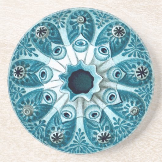 Botryllus Polycyclus Ernst Haeckel Fine Art Zandsteen Onderzetter (Voorkant)