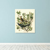 Botstaartgrackle - Amerikaanse vogels van Audubon Canvas Afdruk (Insitu (Houten vloer))