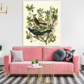 Botstaartgrackle - Amerikaanse vogels van Audubon Canvas Afdruk (Insitu (Woonkamer))