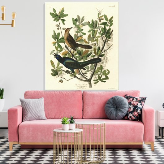 Botstaartgrackle - Amerikaanse vogels van Audubon Canvas Afdruk (Insitu (Woonkamer))