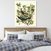 Botstaartgrackle - Amerikaanse vogels van Audubon Canvas Afdruk (Insitu (Slaapkamer))