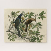 Botstaartgrackle - Amerikaanse vogels van Audubon Legpuzzel (Horizontaal)