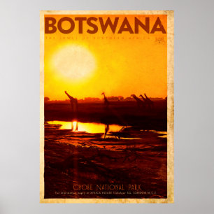 Botswana Africa Travel Poster