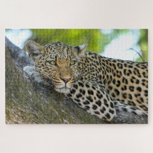 Botswana African Leopard Legpuzzel (Horizontaal)