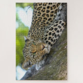 Botswana African Leopard Legpuzzel (Verticaal)