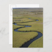 Botswana, Afrika. Arial uitzicht Okavango Briefkaart (Voorkant / Achterkant)