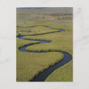 Botswana, Afrika. Arial uitzicht Okavango Briefkaart