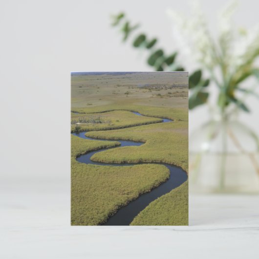 Botswana, Afrika. Arial uitzicht Okavango Briefkaart (Staand voorkant)