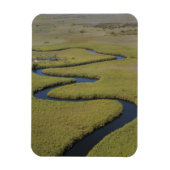Botswana, Afrika. Arial uitzicht Okavango Magneet (Verticaal)