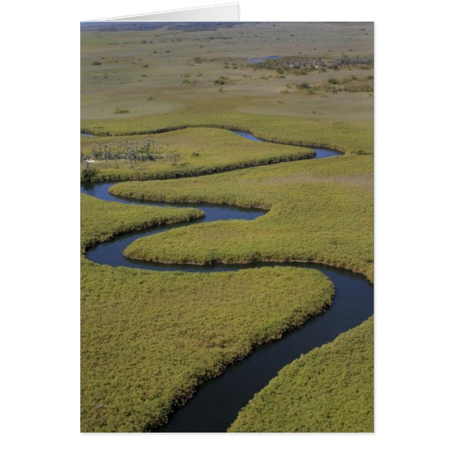 Botswana, Afrika. Luchtbeeld Okavango rivier. (Voorkant)