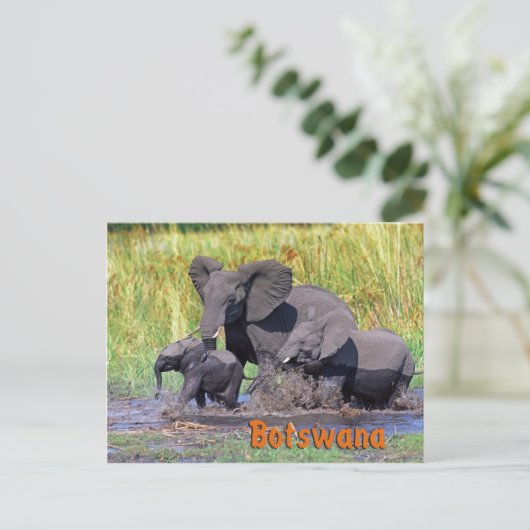 Botswana Briefkaart (Staand voorkant)