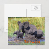 Botswana Briefkaart (Voorkant / Achterkant)