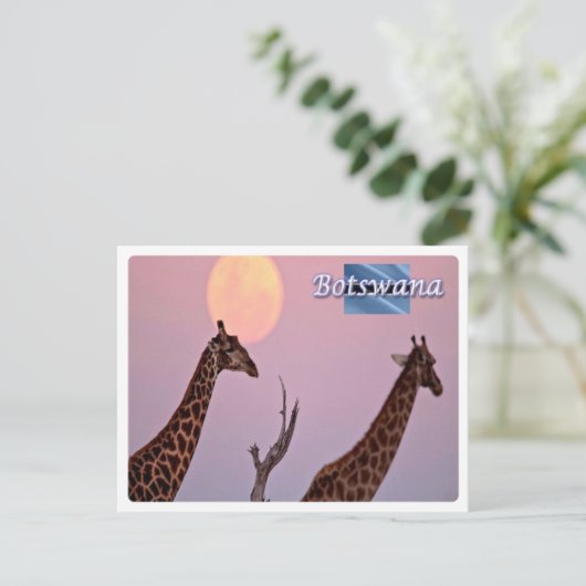Botswana - briefkaart (Staand voorkant)