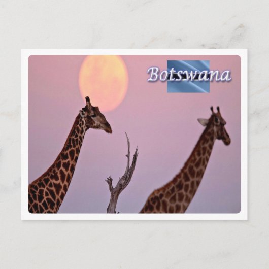 Botswana - briefkaart (Voorkant)