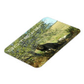 Botswana Central Kalahari Lion Savannah Travel Magneet (Linkerzijde)