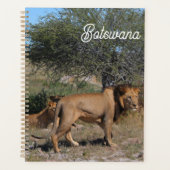 Botswana Central Kalahari Lions Savannah Planner (Voorkant)