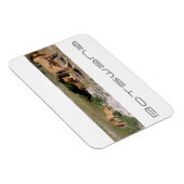 Botswana Central Kalahari Lions Savannah Travel Magneet (Rechterzijde)