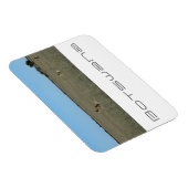 Botswana Central Kalahari Lions Savannah Travel Magneet (Rechterzijde)