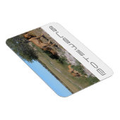 Botswana Central Kalahari Lions Savannah Travel Magneet (Rechterzijde)