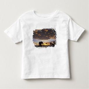 Botswana, Chobe National Park, Elephant Kinder Shirts