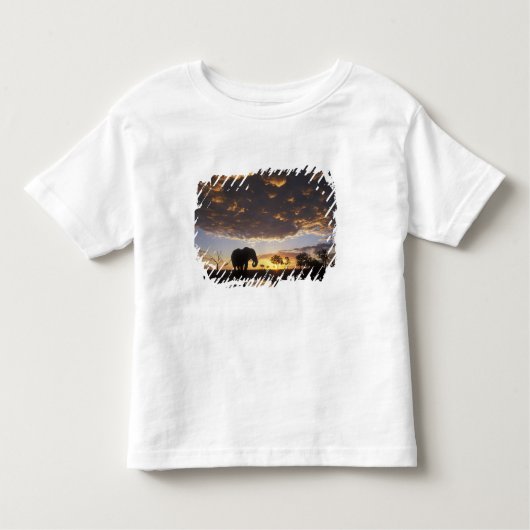 Botswana, Chobe National Park, Elephant Kinder Shirts (Voorkant)