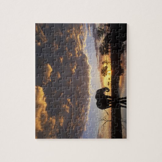 Botswana, Chobe National Park, Elephant Legpuzzel (Verticaal)