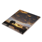 Botswana, Chobe National Park, Elephant Tegeltje (Zijkant)