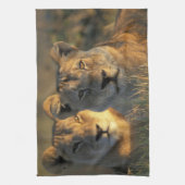 Botswana, Chobe National Park, Leeuwinnen Theedoek (Verticaal)