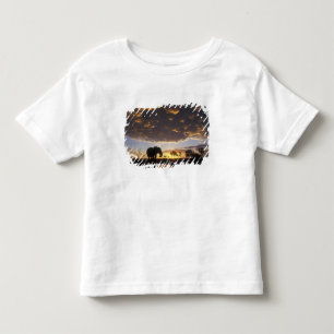 Botswana, Chobe National Park, Olifant Kinder Shirts