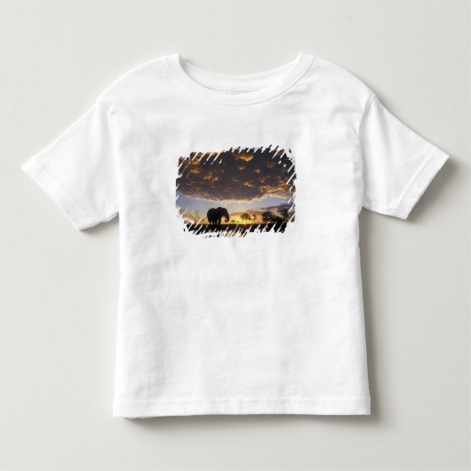 Botswana, Chobe National Park, Olifant Kinder Shirts (Voorkant)