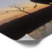 Botswana, Chobe National Park, Olifant Poster (Hoek)