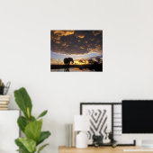 Botswana, Chobe National Park, Olifant Poster (Thuiskantoor)