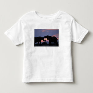 Botswana, Chobe National Park, Olifanten Kinder Shirts