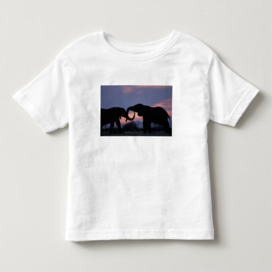 Botswana, Chobe National Park, Olifanten Kinder Shirts (Voorkant)
