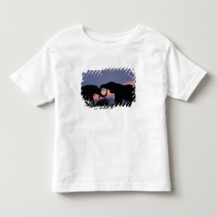 Botswana, Chobe National Park, Olifanten Kinder Shirts