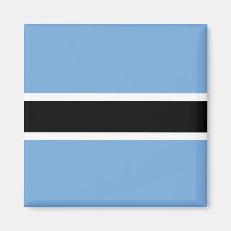 Botswana Flag Magneet