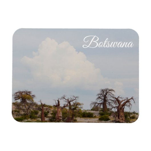 Botswana Kubu Baobab Eiland Go Travel Magneet (Horizontaal)