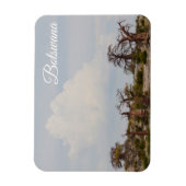 Botswana Kubu Baobab Eiland Go Travel Magneet (Verticaal)