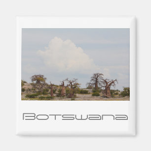 Botswana Kubu Baobab Island Magneet