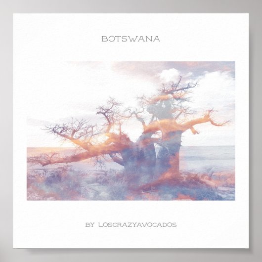 Botswana Kubu Island Baobab Travel Poster (Voorkant)