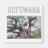 Botswana Kubu Island Baobab Tree Magnet (Voorkant)