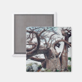 Botswana Kubu Island Baobab Tree Magnet (Voorkant / Achterkant)