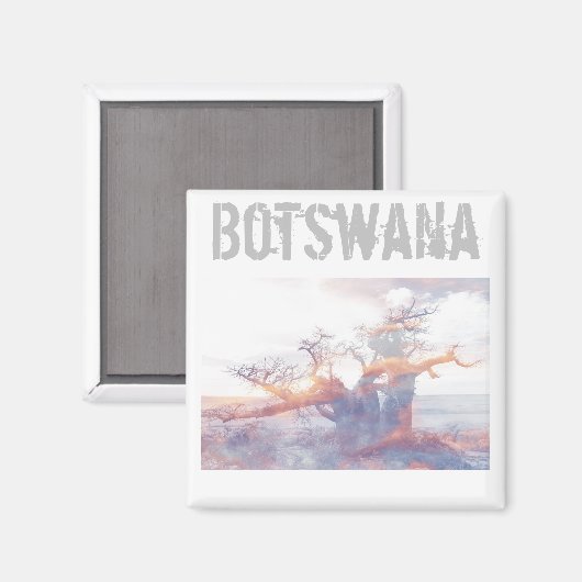 Botswana Kubu Island Baobab Tree Magnet (Voorkant / Achterkant)