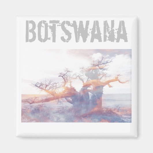 Botswana Kubu Island Baobab Tree Magnet (Voorkant)