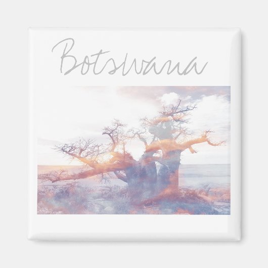 Botswana Kubu Island Baobab Tree Magnet (Voorkant)