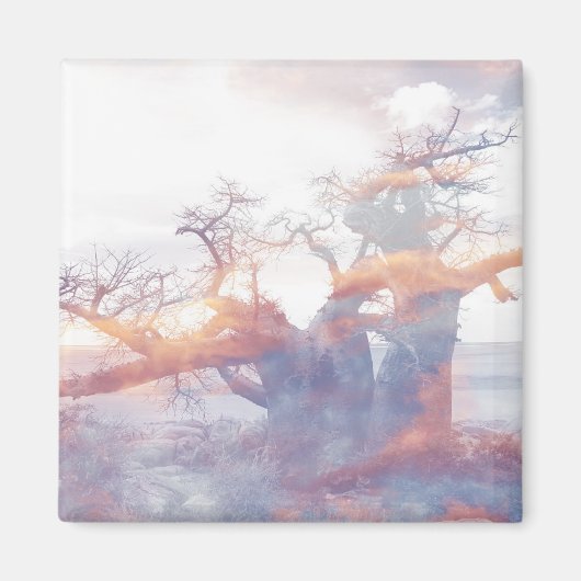 Botswana Kubu Island Baobab Tree Magnet (Voorkant)